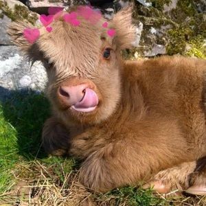 Meet your Posher, Valentina